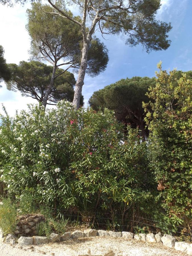 Villa Mediterranea Les Issambres Dış mekan fotoğraf