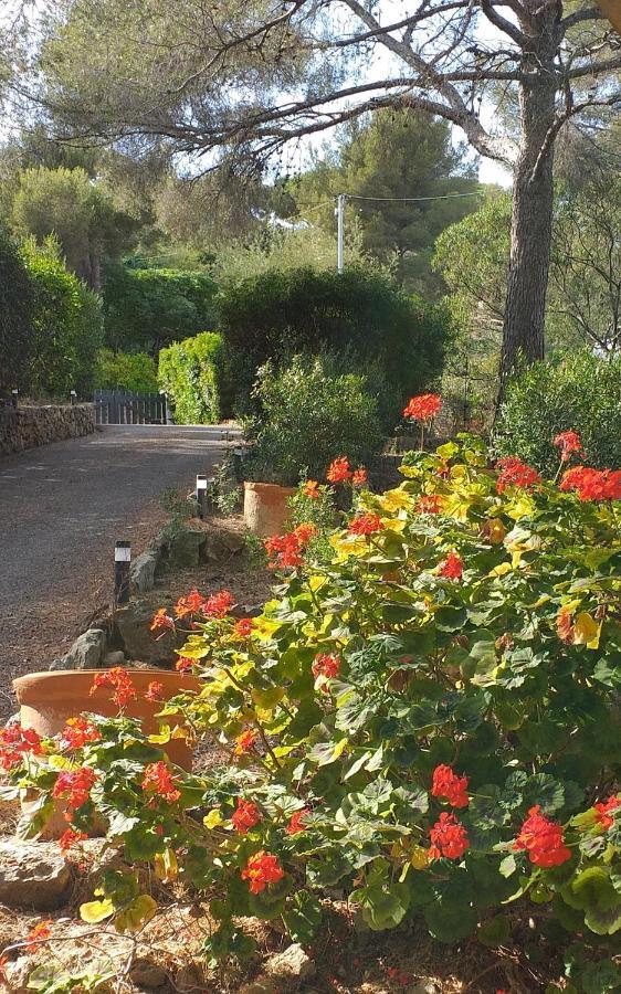 Villa Mediterranea Les Issambres Dış mekan fotoğraf