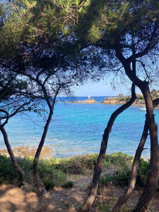 Villa Mediterranea Les Issambres Dış mekan fotoğraf
