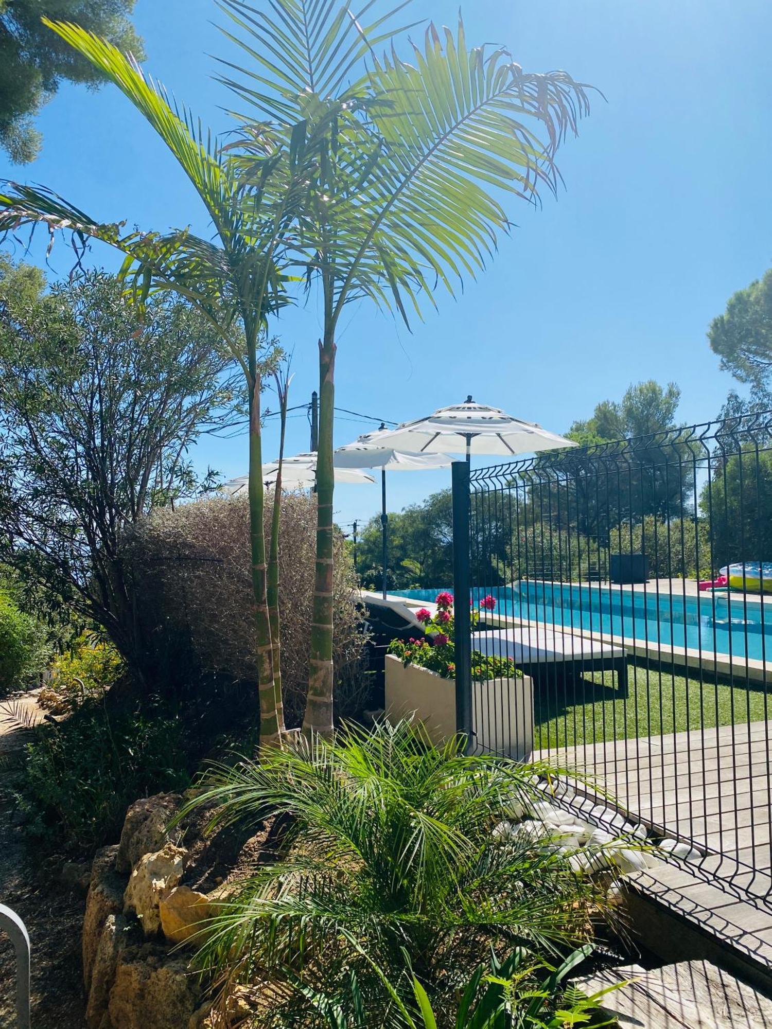 Villa Mediterranea Les Issambres Dış mekan fotoğraf