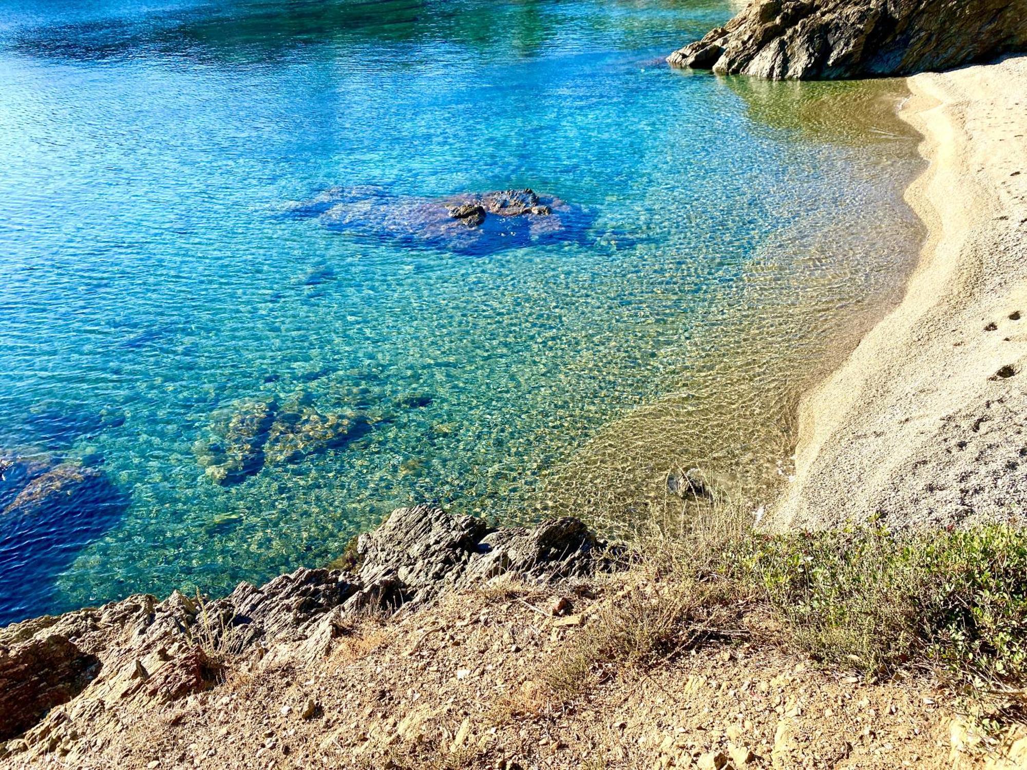 Villa Mediterranea Les Issambres Dış mekan fotoğraf