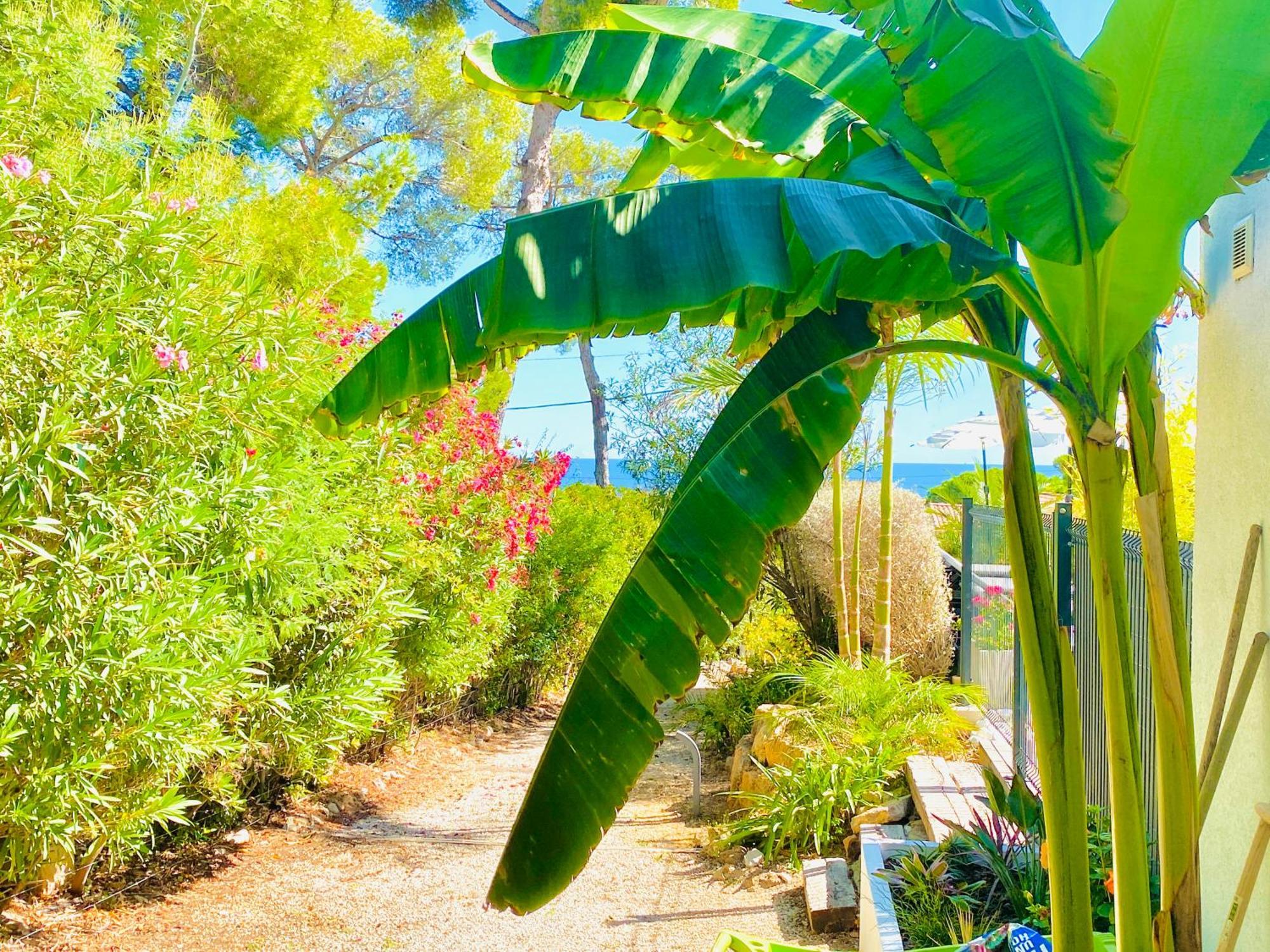 Villa Mediterranea Les Issambres Dış mekan fotoğraf