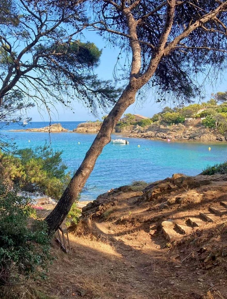 Villa Mediterranea Les Issambres Dış mekan fotoğraf